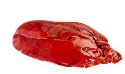 imagem de Fígado